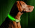 USB Charging Led Dog Collar Anti-Lost/Avoid Car Accident Collar For Dogs Puppies Dog Collars Leads LED Supplies Pet Products