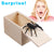 Halloween April Fool's Day Gift Wooden Prank Trick Practical Joke Home Office Scare Toy Box Gag Spider Mouse Kids Funny Gift