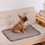 Dog Self Cooling Mat Pet Washable Summer Cooling Pads Cooling Blanket Hot Weather Sleeping Kennel Mat,Ice Silk Sleep Mat Pad Non-Toxic Breathable Sleep Bed Beach for Large Dogs Cats Animal No Water