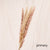 Bulrush Natural Dried Small Pampas Grass Phragmites Artificial Plants Wedding Flower Bunch for Home Decor Fake Flowers