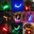 USB Charging Led Dog Collar Anti-Lost/Avoid Car Accident Collar For Dogs Puppies Dog Collars Leads LED Supplies Pet Products