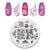 PICT YOU 12*6cm Nail Art Templates Stamping Plate Design Flower Animal Glass Temperature Lace Stamp Templates Plates Image