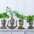 SoB Flowerpot Treeman Baby Groot Succulent Planter Cute Green Plants Flower Pot Guardians of The Galaxy