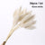 Bulrush Natural Dried Small Pampas Grass Phragmites Artificial Plants Wedding Flower Bunch for Home Decor Fake Flowers