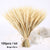 Bulrush Natural Dried Small Pampas Grass Phragmites Artificial Plants Wedding Flower Bunch for Home Decor Fake Flowers