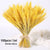 Bulrush Natural Dried Small Pampas Grass Phragmites Artificial Plants Wedding Flower Bunch for Home Decor Fake Flowers