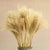 Bulrush Natural Dried Small Pampas Grass Phragmites Artificial Plants Wedding Flower Bunch for Home Decor Fake Flowers